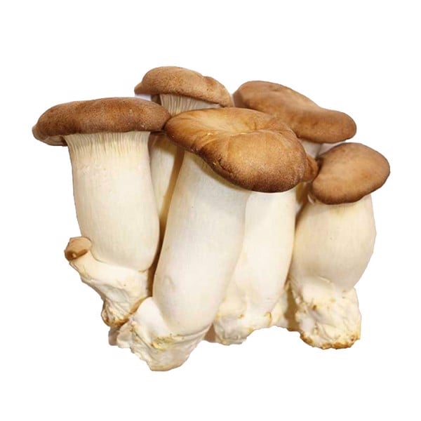 Nấm đùi gà hàn quốc - hộp 250g