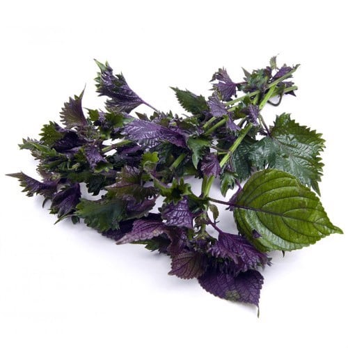 Rau tía tô hữu cơ - 50g